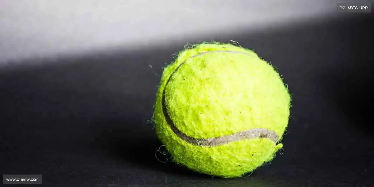 九游会j9——加入我们,让运动成为生活的高光时刻!🏀🎉